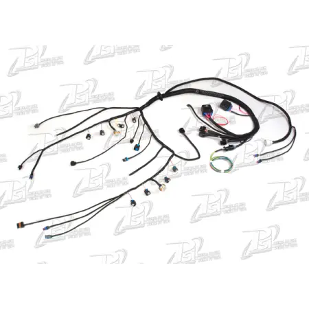 PSI Conversion PSI-HOL-G4M-EV6C - HOLLEY LS Standalone Harness | Gen 4 Cable Manual PSI